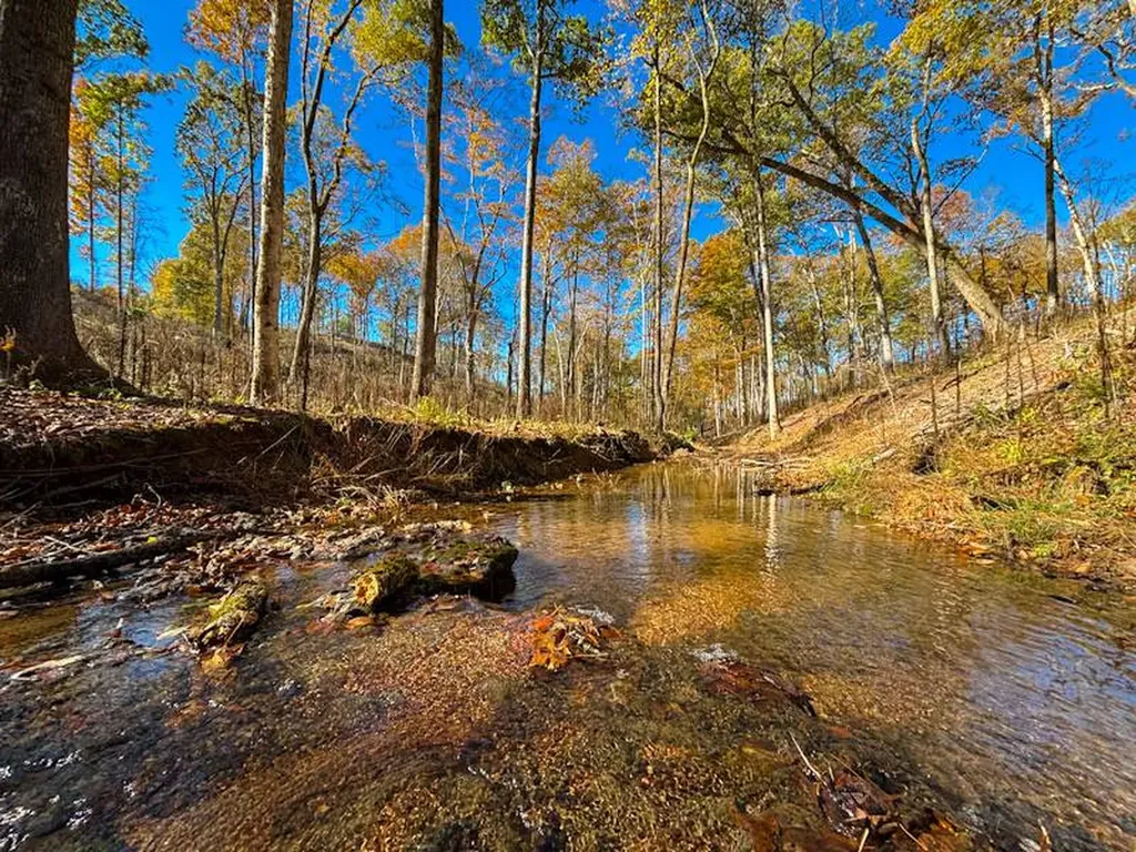 5 Lake Bend Shores Drive Florence AL 35633
