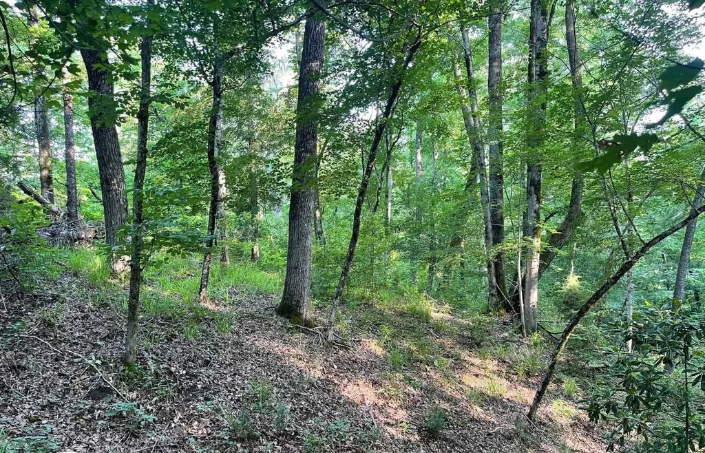 106B Calico Court Alberta AL 36720