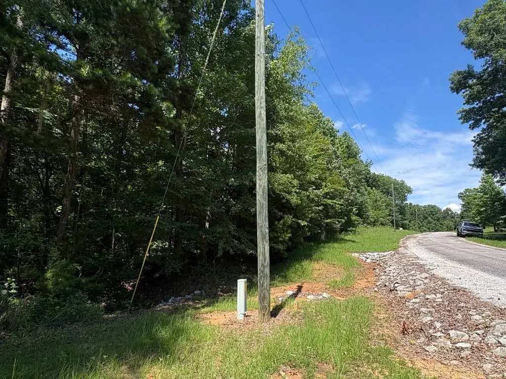 106B Calico Court Alberta AL 36720