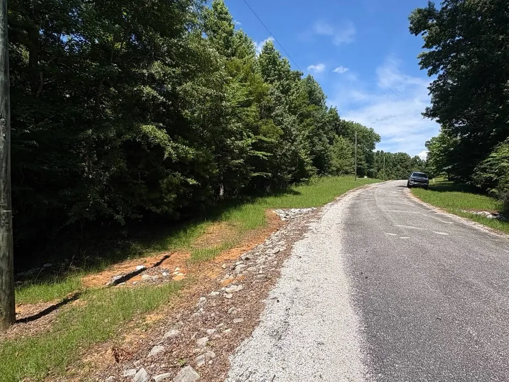 106B Calico Court Alberta AL 36720