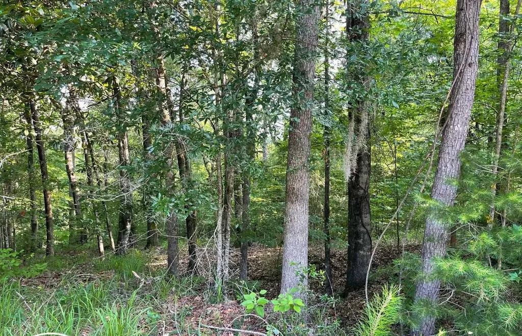 106B Calico Court Alberta AL 36720