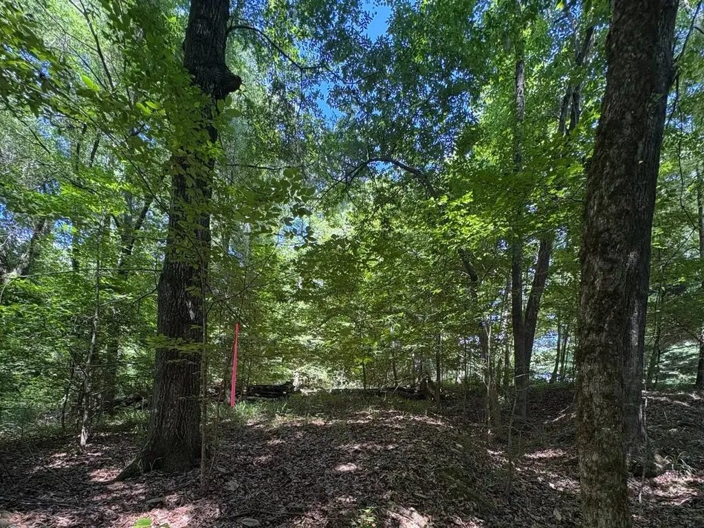 106B Calico Court Alberta AL 36720