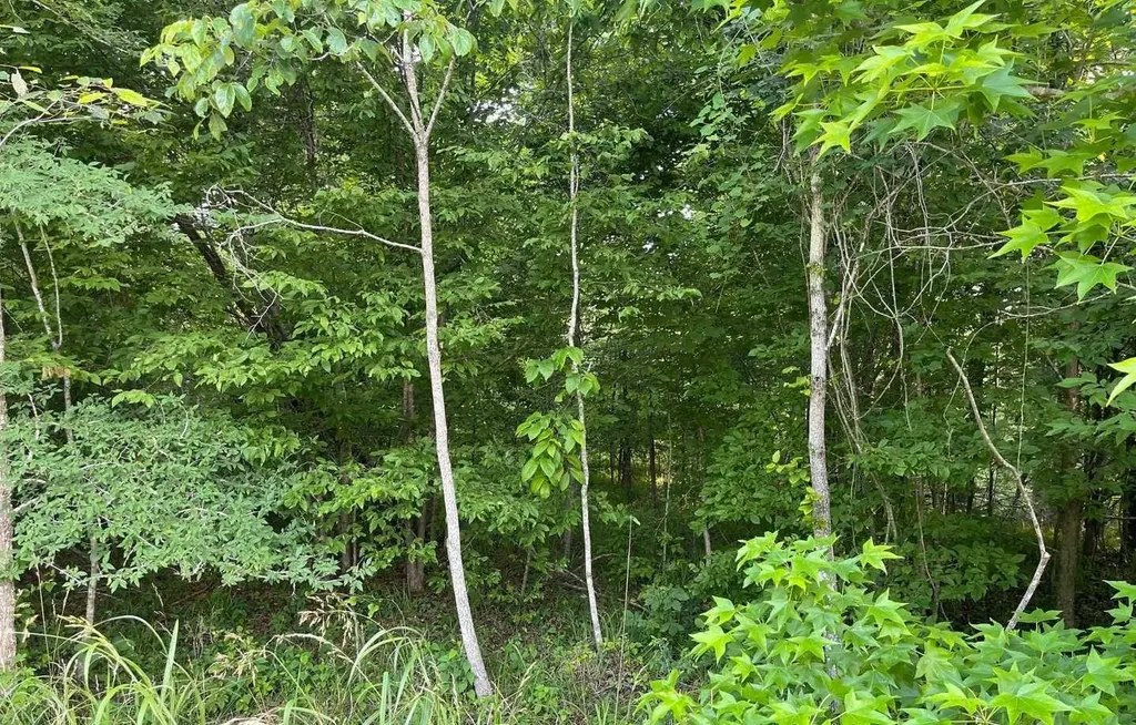 106B Calico Court Alberta AL 36720