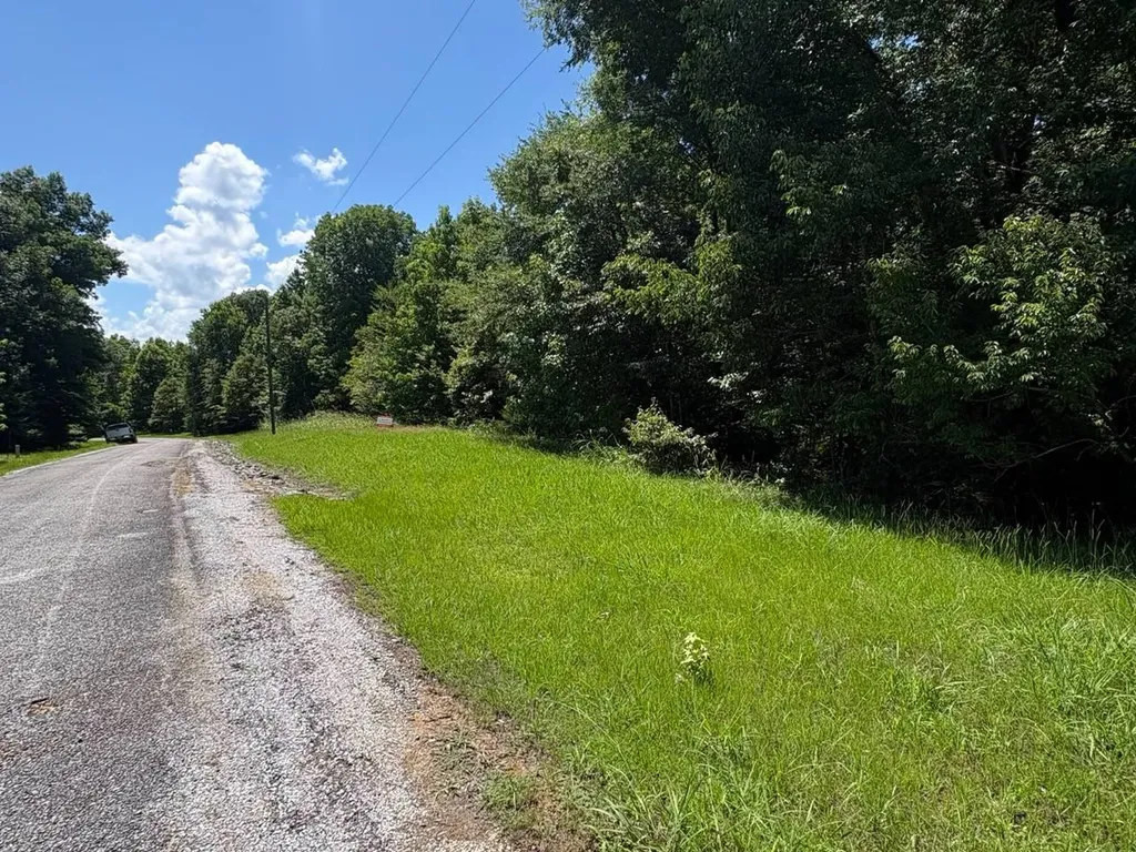 106B Calico Court Alberta AL 36720