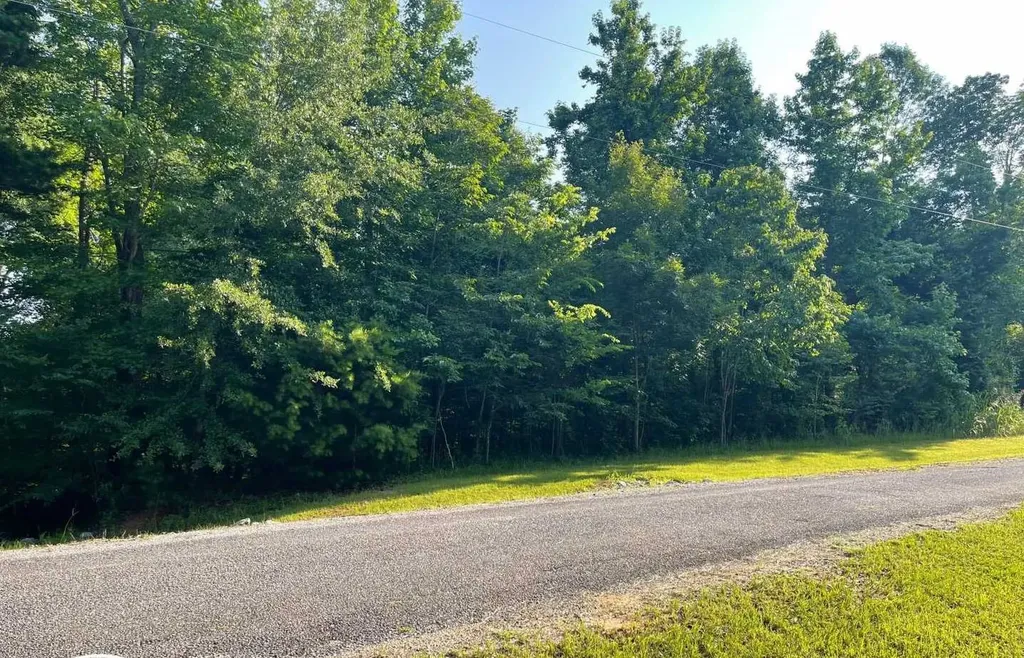 106B Calico Court Alberta AL 36720