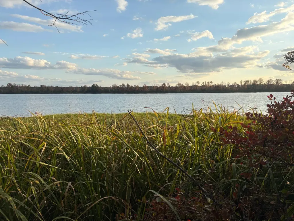 106A Calico Court Alberta AL 36720