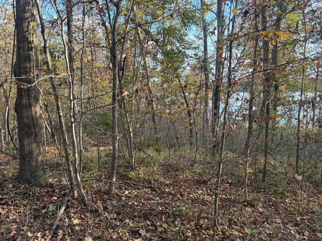 106A Calico Court Alberta AL 36720