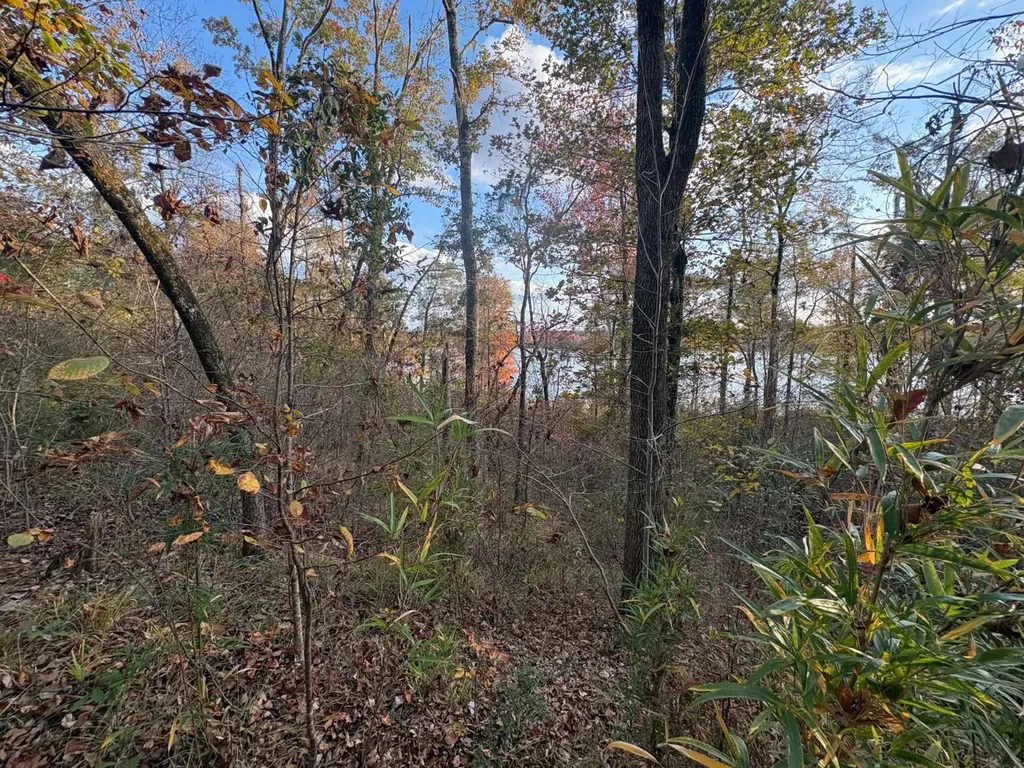 106A Calico Court Alberta AL 36720