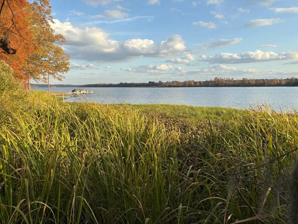 106A Calico Court Alberta AL 36720