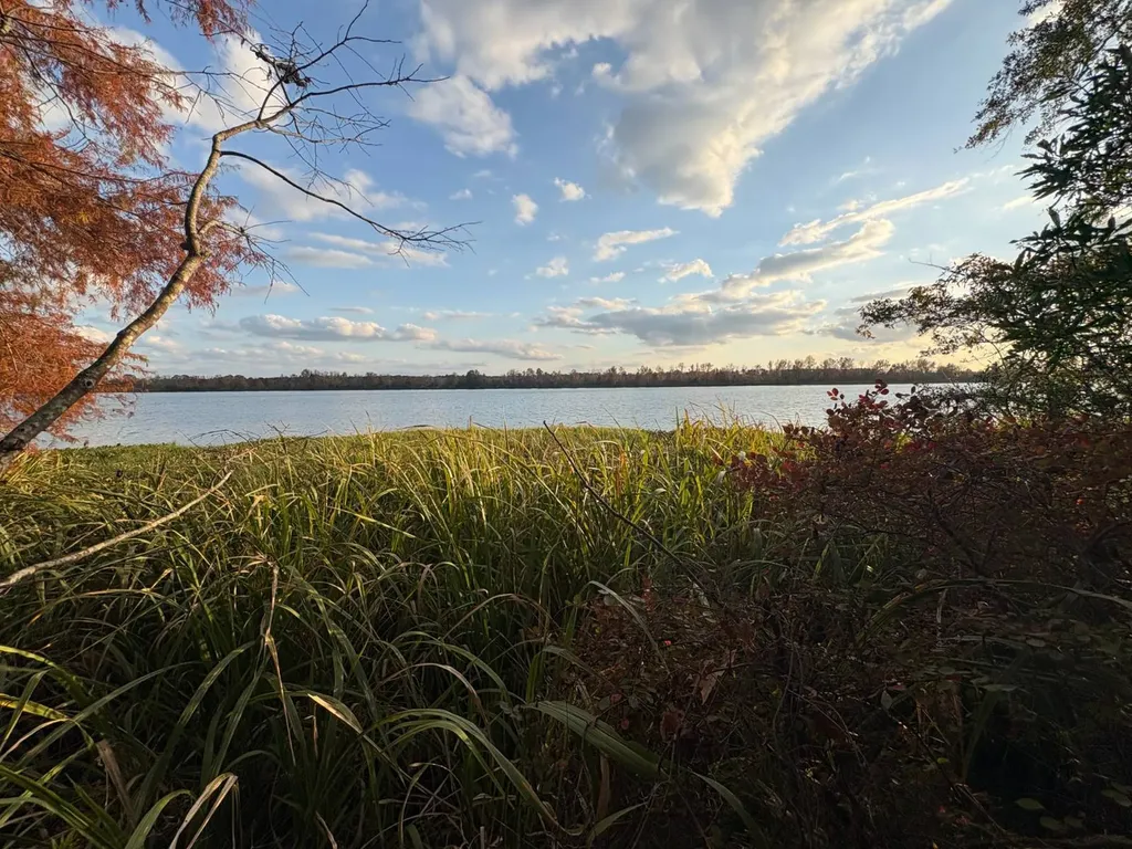 106A Calico Court Alberta AL 36720