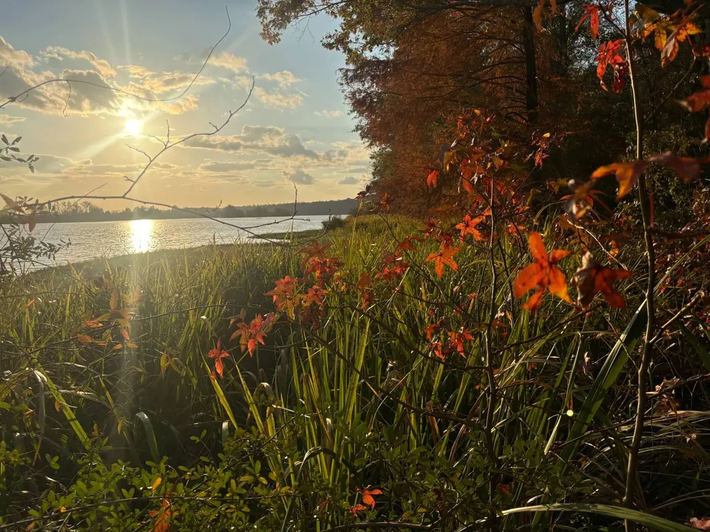 106A Calico Court Alberta AL 36720