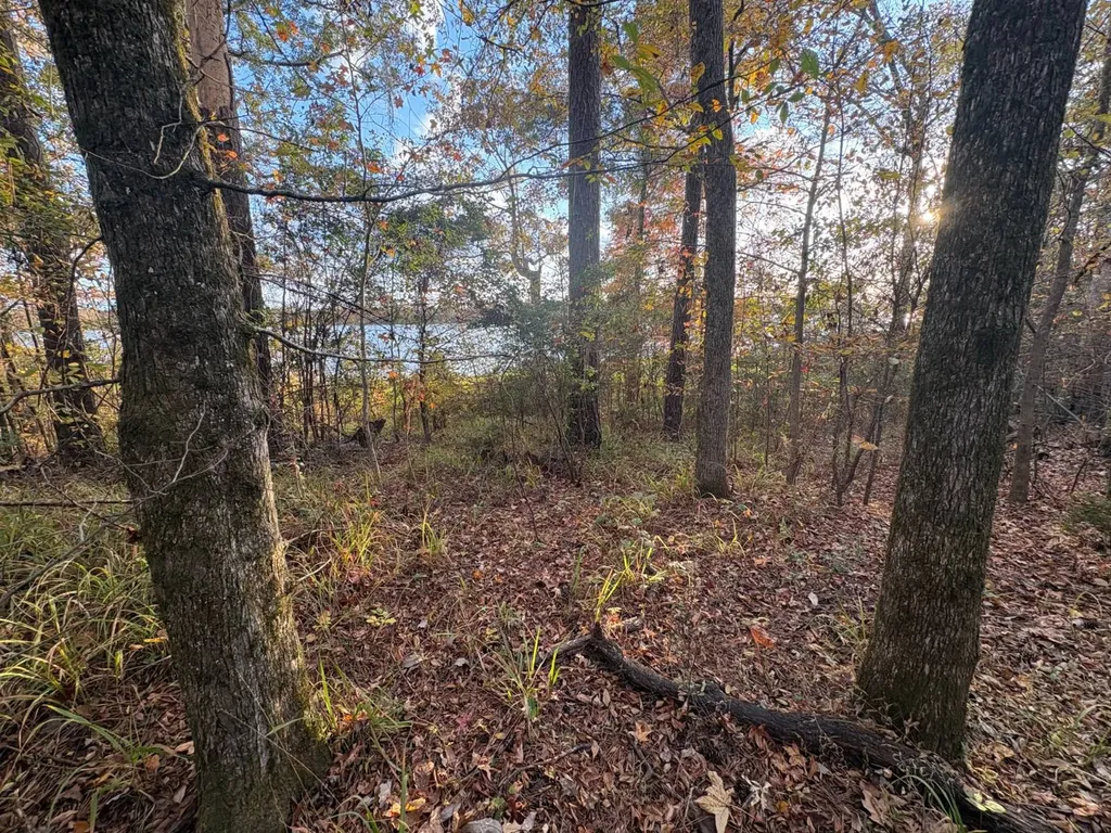 106A Calico Court Alberta AL 36720