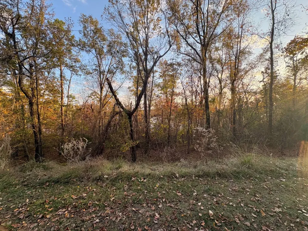 106A Calico Court Alberta AL 36720