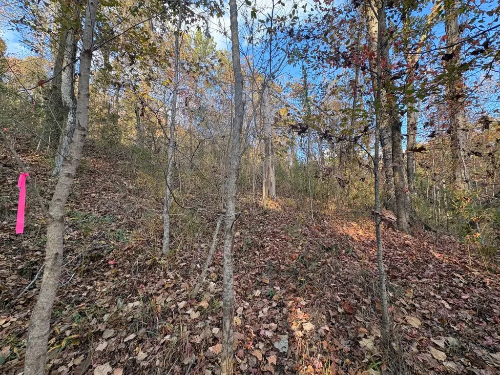 106A Calico Court Alberta AL 36720