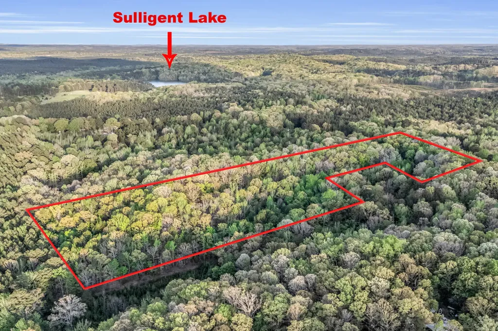 0 Abernathy Road Sulligent AL 35586