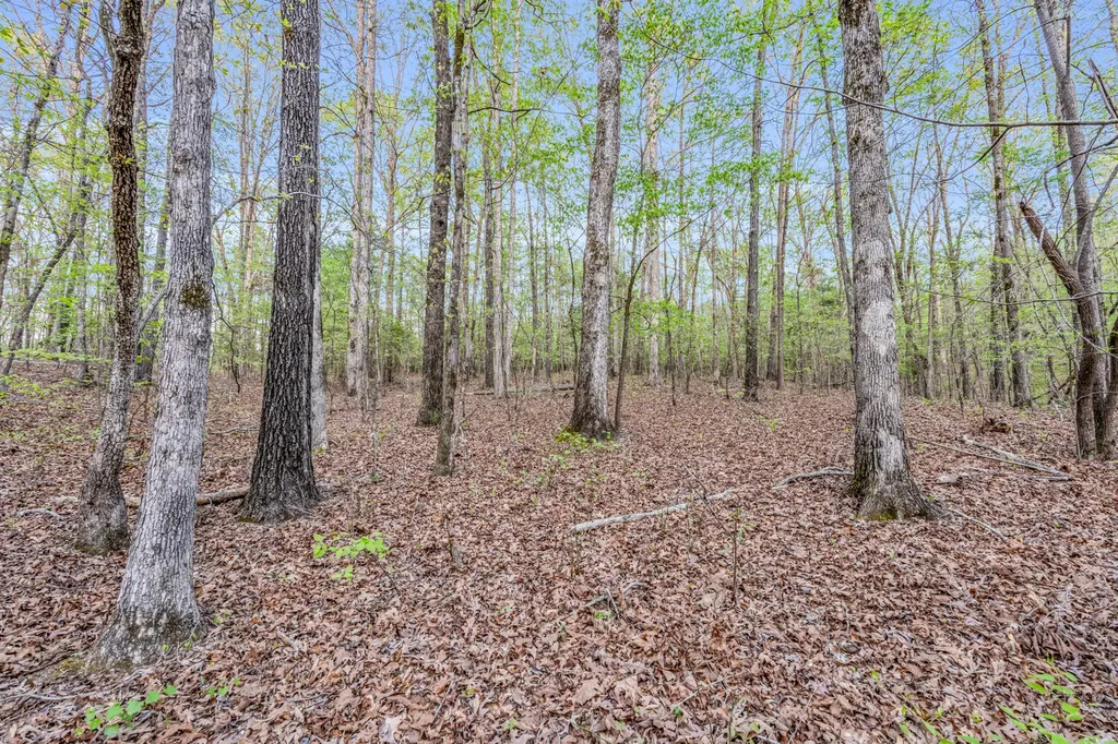 0 Abernathy Road Sulligent AL 35586