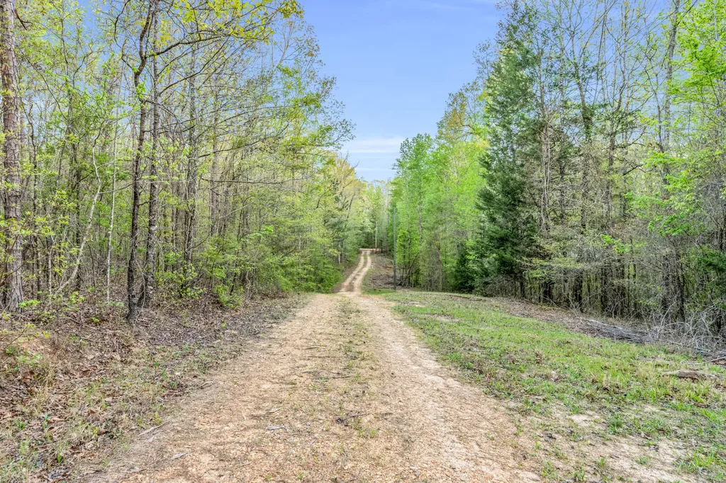 0 Abernathy Road Sulligent AL 35586