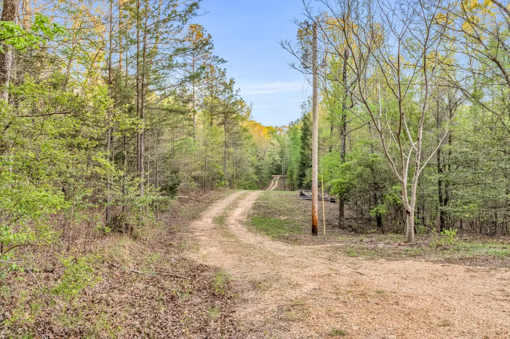 0 Abernathy Road Sulligent AL 35586