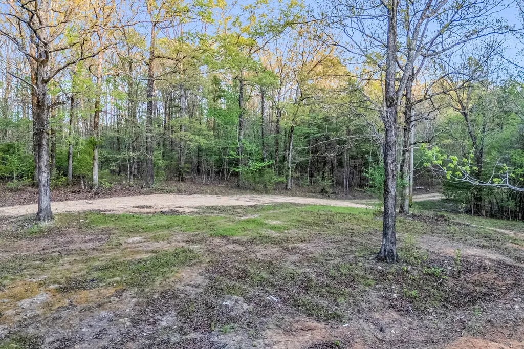 0 Abernathy Road Sulligent AL 35586