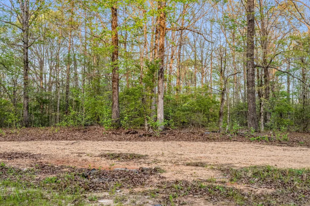 0 Abernathy Road Sulligent AL 35586