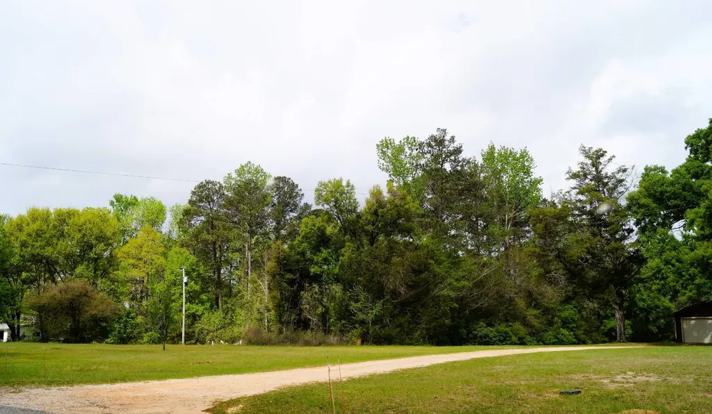 9221 County Road 28 St Stephens AL 36569