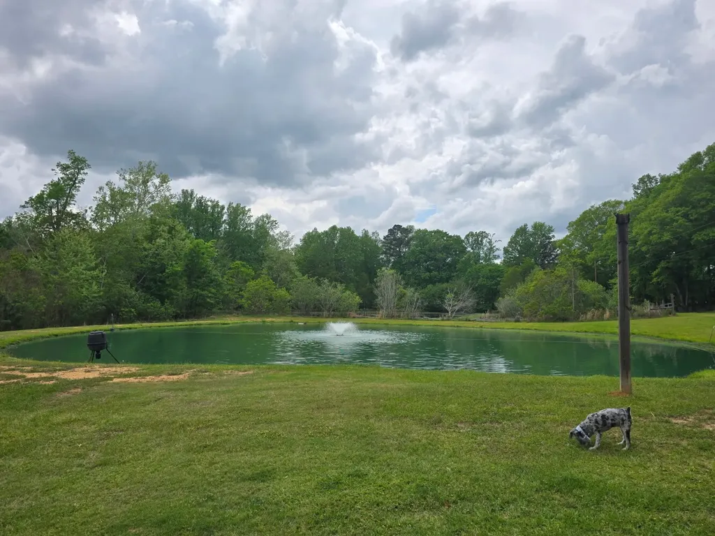 234 Bell Bottom Road Lowndesboro AL 36752