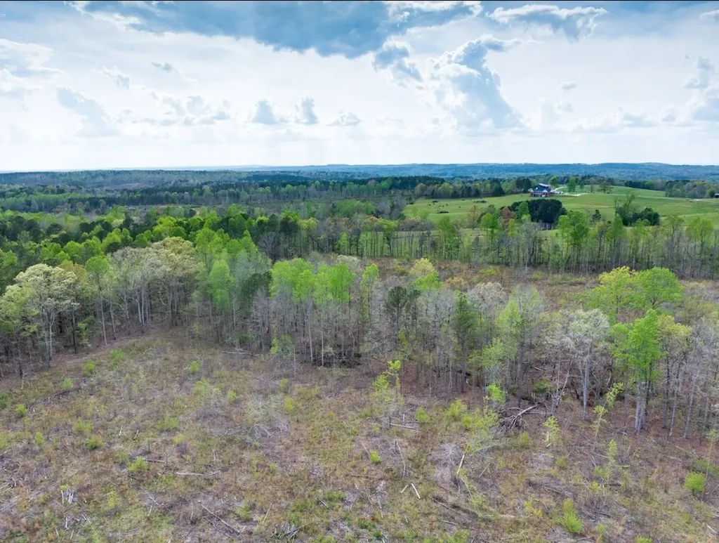 0 Highway 431 Tract 1a Wedowee AL 36278