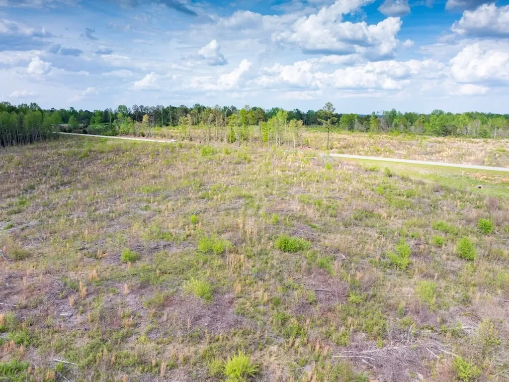 0 Highway 431 Tract 1a Wedowee AL 36278
