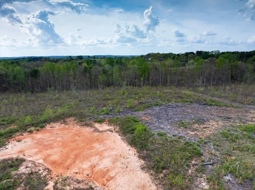 0 Highway 431 Tract 1a Wedowee AL 36278