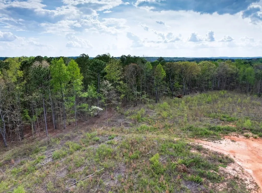0 Highway 431 Tract 1a Wedowee AL 36278
