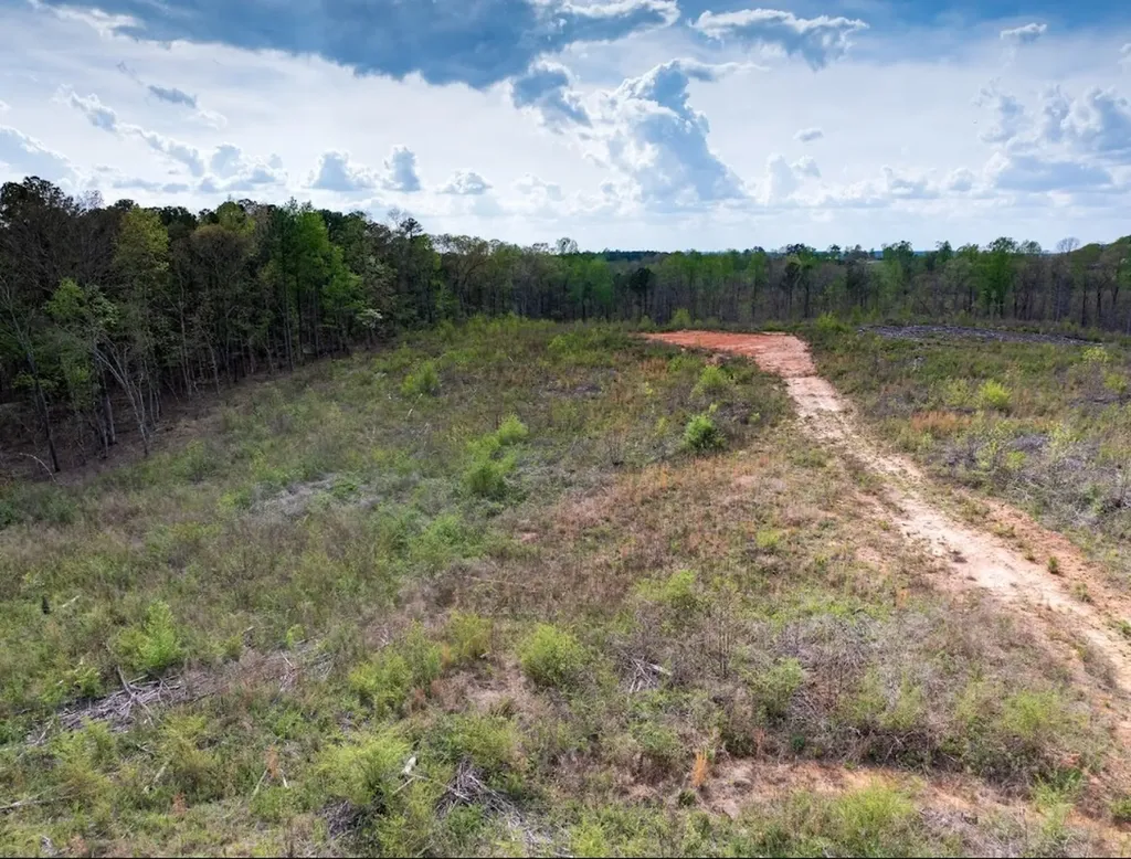 0 Highway 431 Tract 1a Wedowee AL 36278