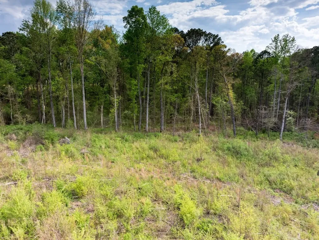0 Highway 431 Tract 1a Wedowee AL 36278