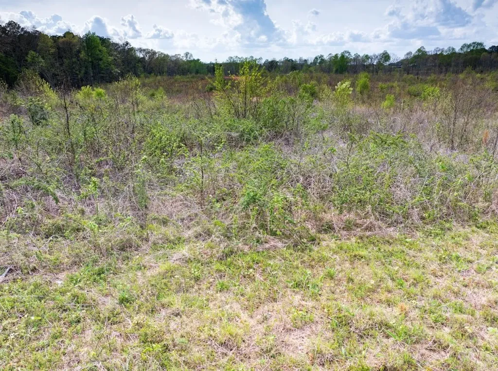 0 Highway 431 Tract 1a Wedowee AL 36278