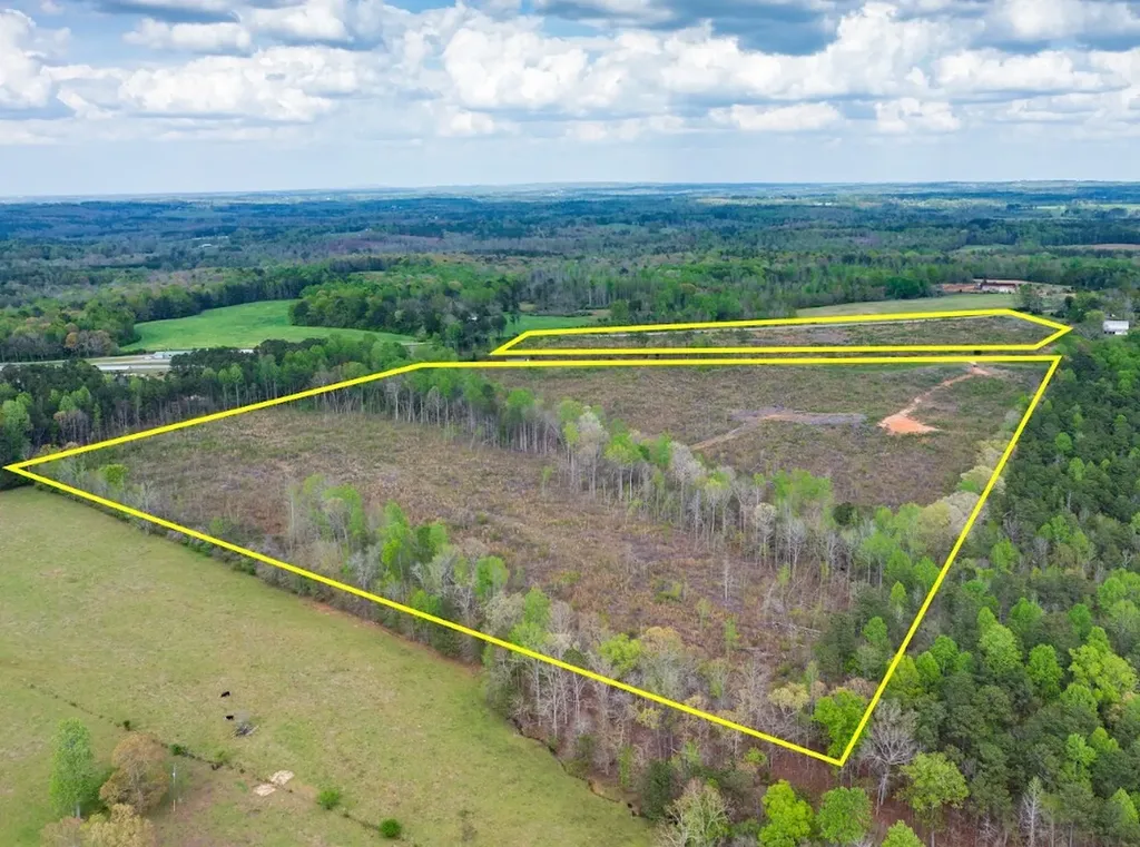 0 Highway 431 Tract 1a Wedowee AL 36278