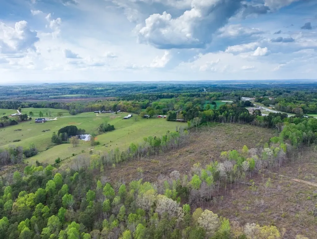 0 Highway 431 Tract 1a Wedowee AL 36278