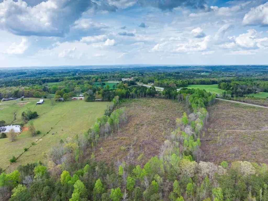 0 Highway 431 Tract 1a Wedowee AL 36278