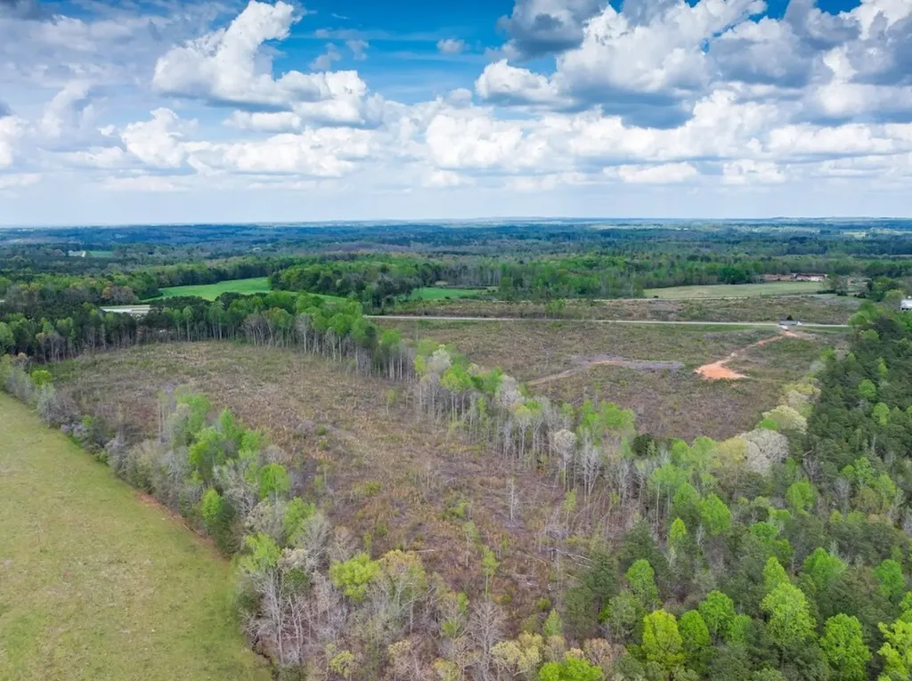 0 Highway 431 Tract 1a Wedowee AL 36278