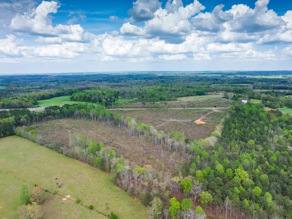 0 Highway 431 Tract 1a Wedowee AL 36278