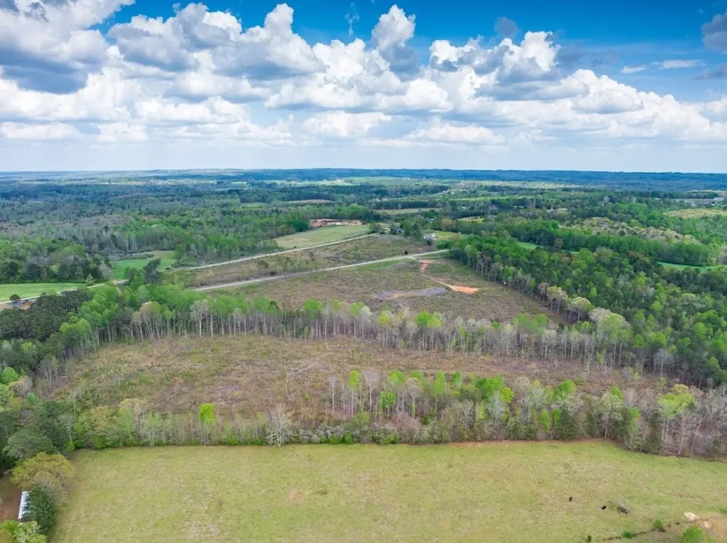 0 Highway 431 Tract 1a Wedowee AL 36278