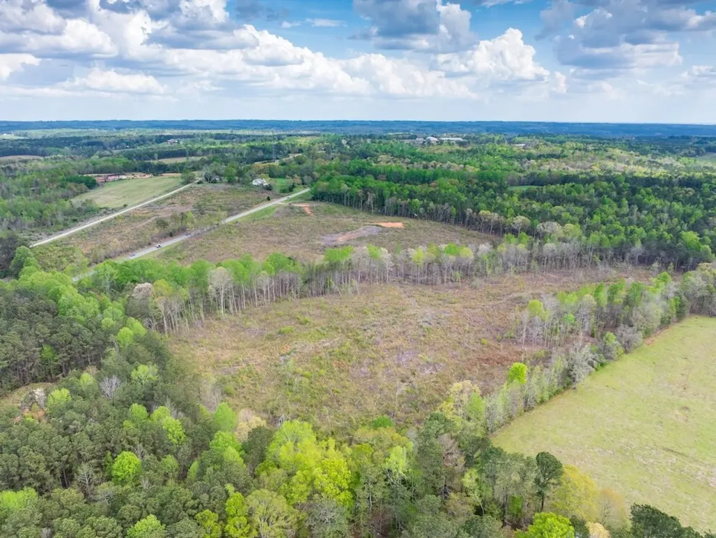 0 Highway 431 Tract 1a Wedowee AL 36278