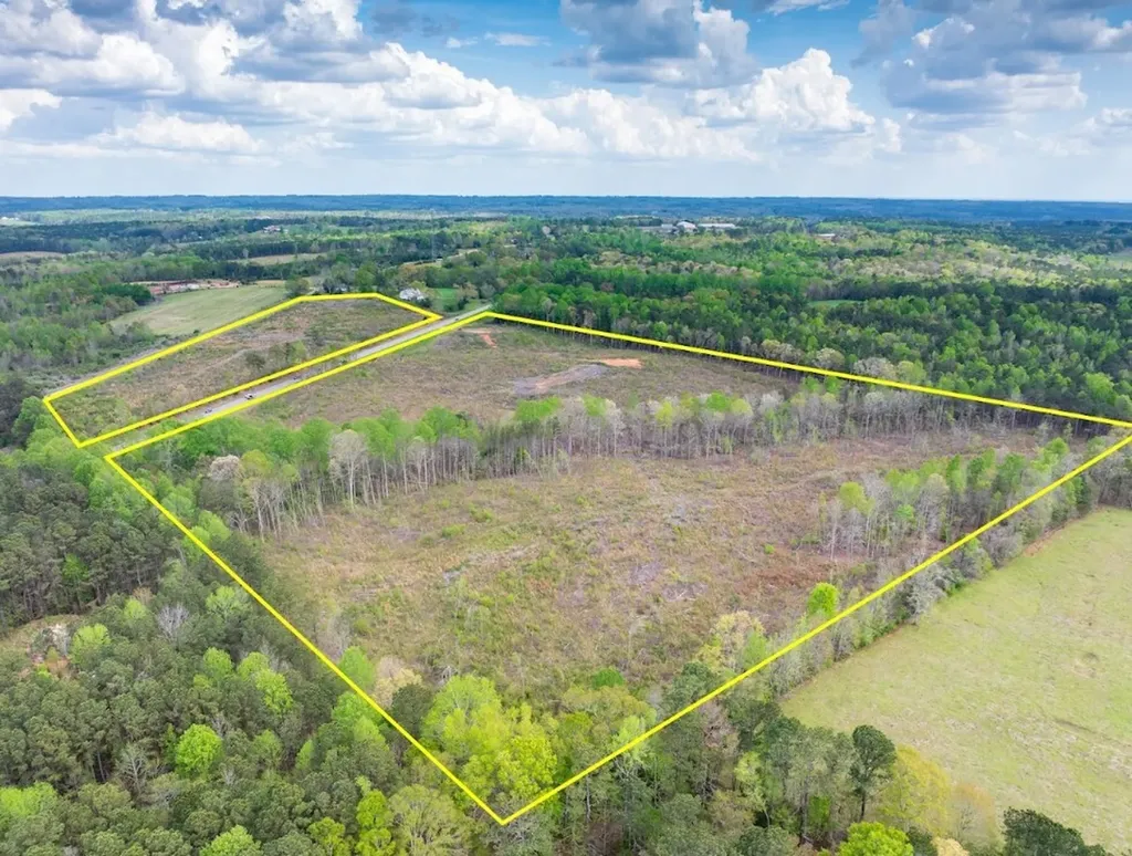 0 Highway 431 Tract 1a Wedowee AL 36278