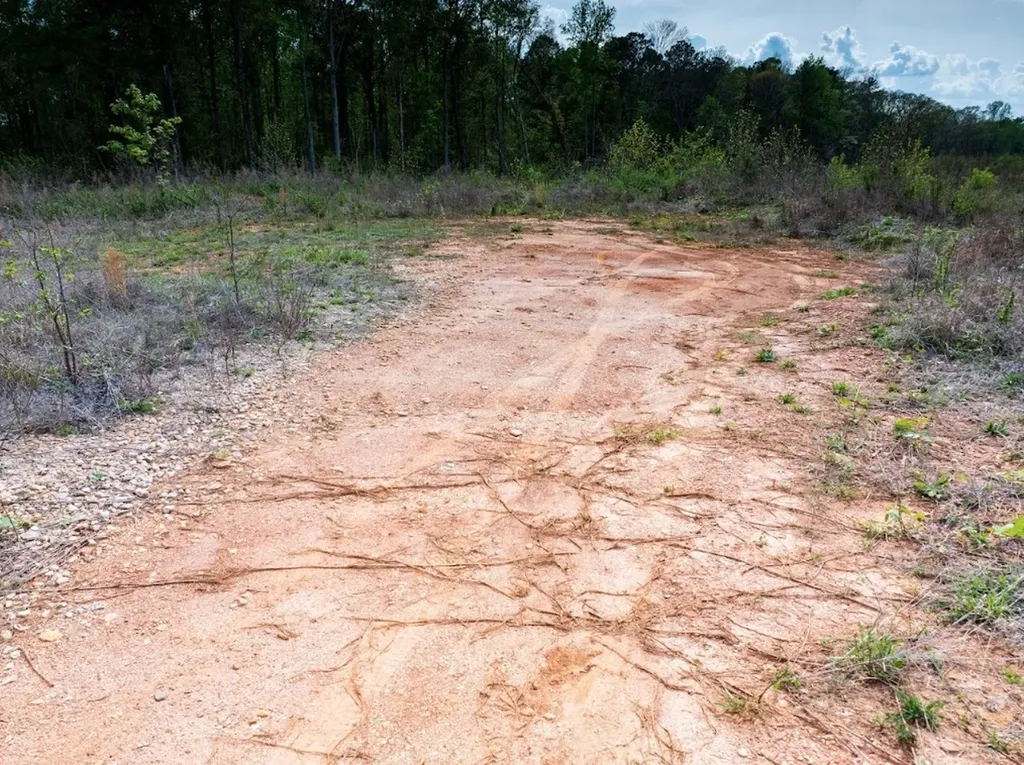 0 Highway 431 Tract 1a Wedowee AL 36278