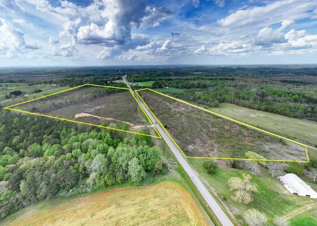0 Highway 431 Tract 1a Wedowee AL 36278