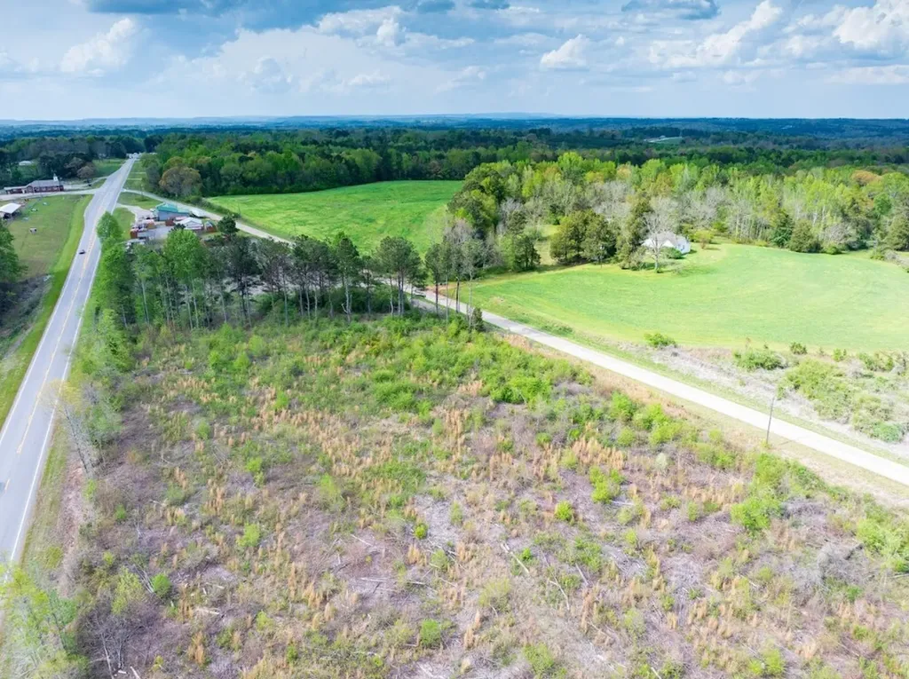 0 Highway 431 Tract 1a Wedowee AL 36278