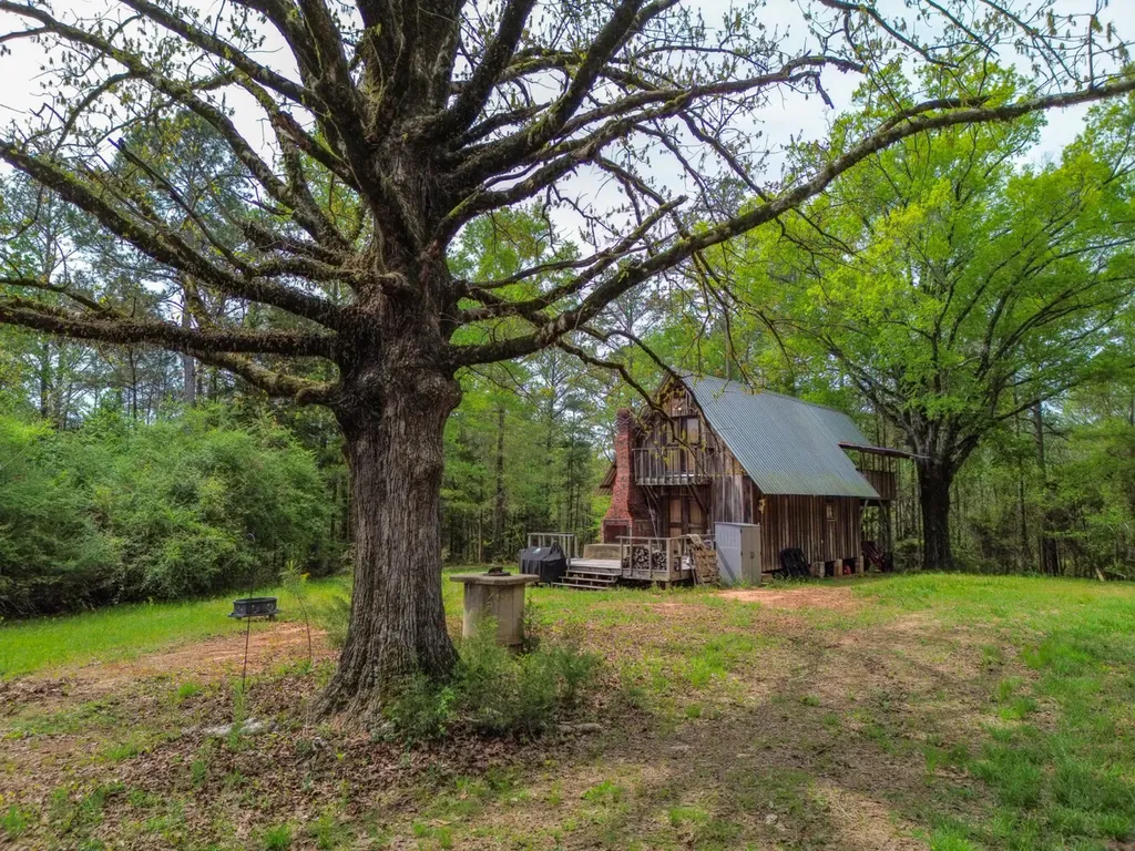 682 Shirley Lanthan Road Reform AL 35481