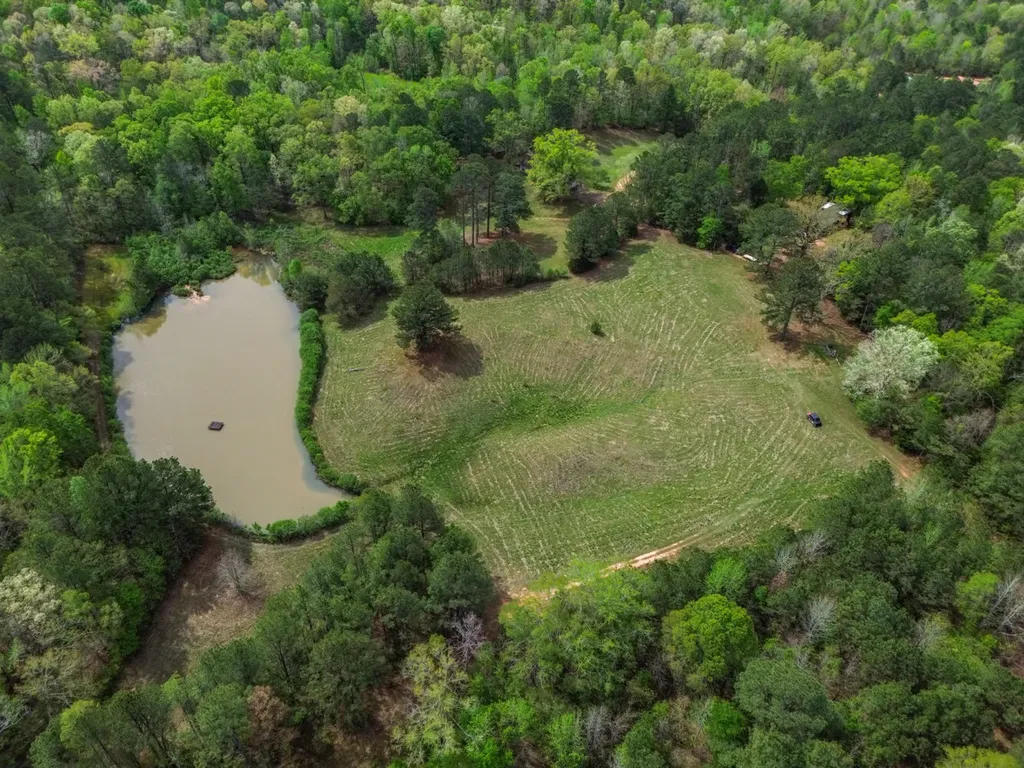 682 Shirley Lanthan Road Reform AL 35481