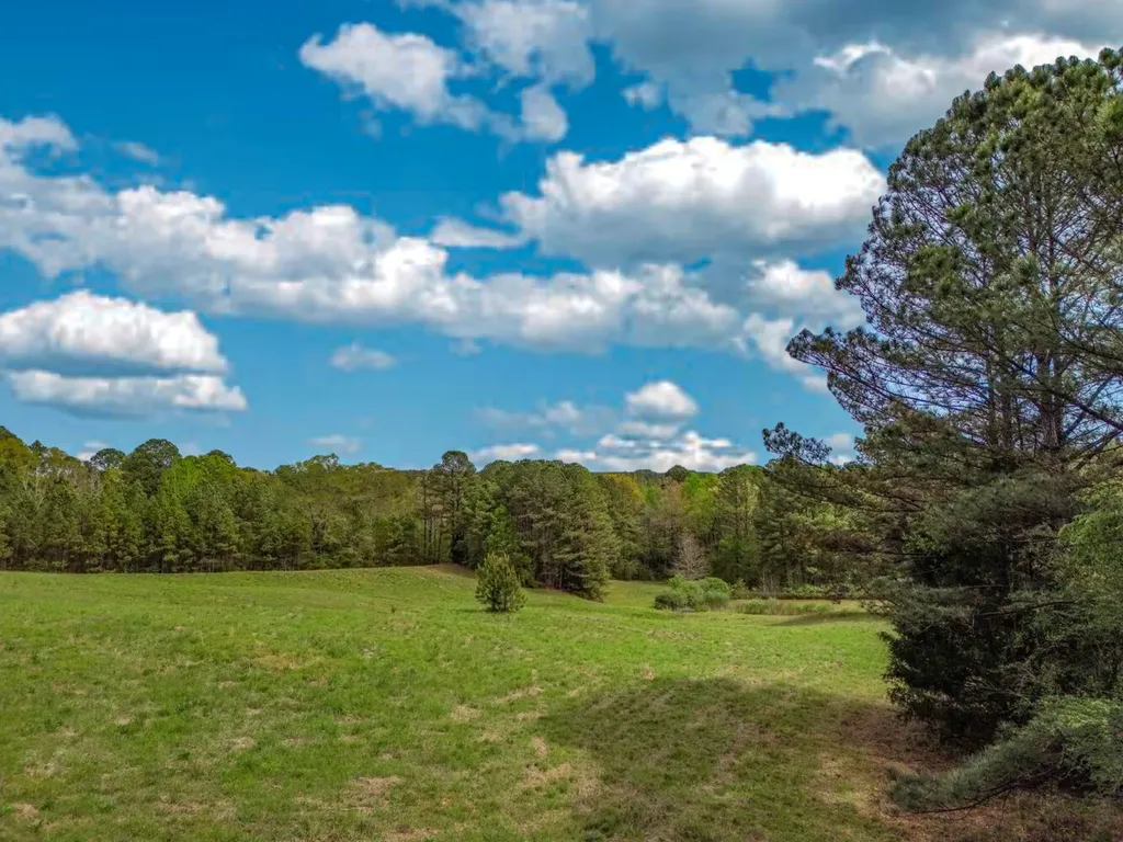 682 Shirley Lanthan Road Reform AL 35481