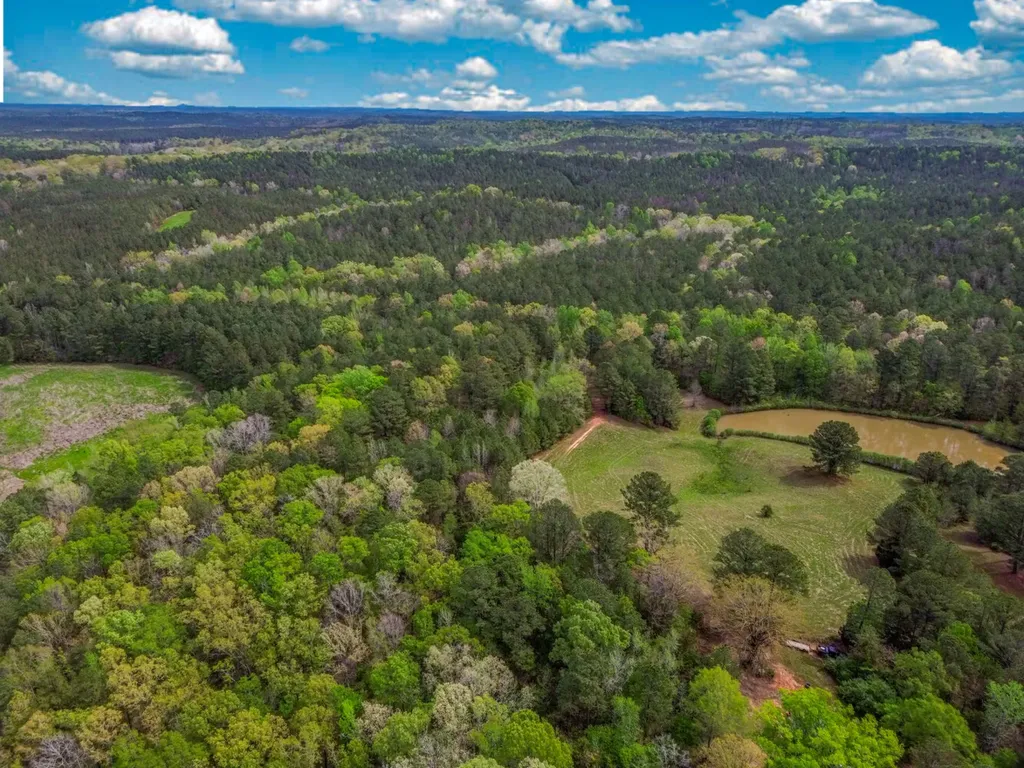 682 Shirley Lanthan Road Reform AL 35481