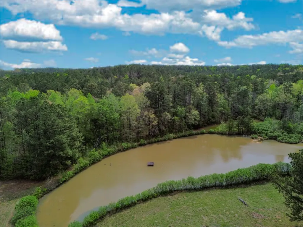 682 Shirley Lanthan Road Reform AL 35481