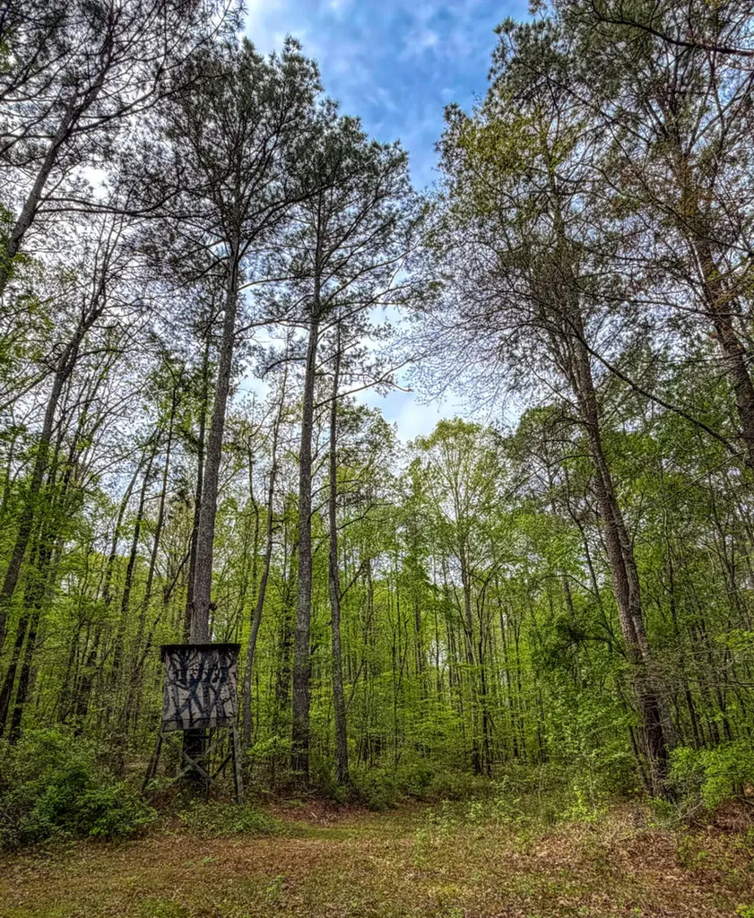 682 Shirley Lanthan Road Reform AL 35481